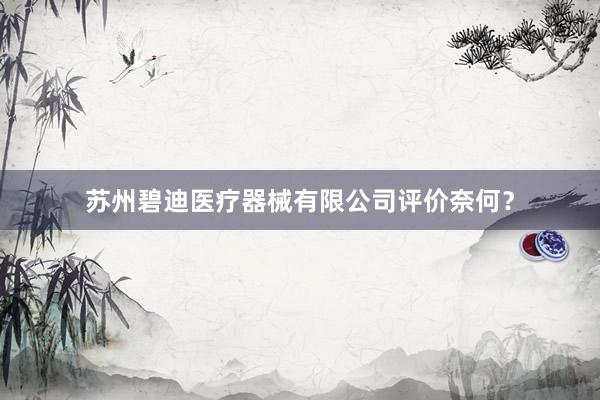 苏州碧迪医疗器械有限公司评价奈何？