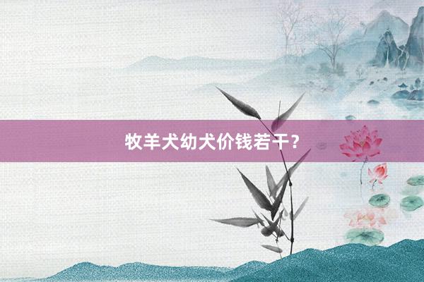牧羊犬幼犬价钱若干？