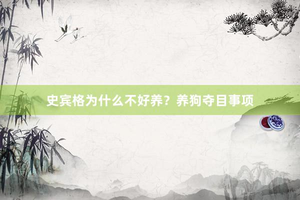 史宾格为什么不好养？养狗夺目事项