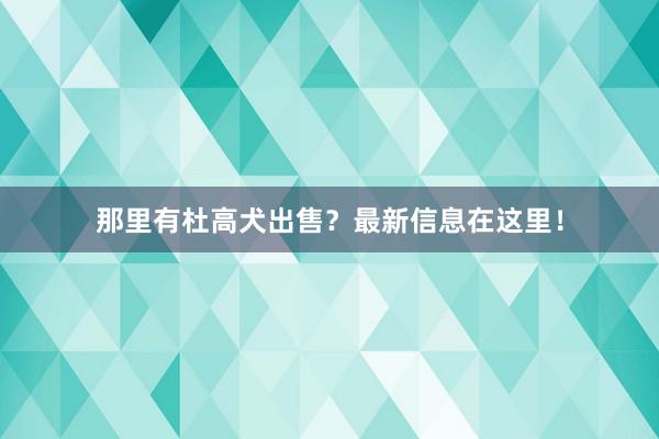 那里有杜高犬出售？最新信息在这里！